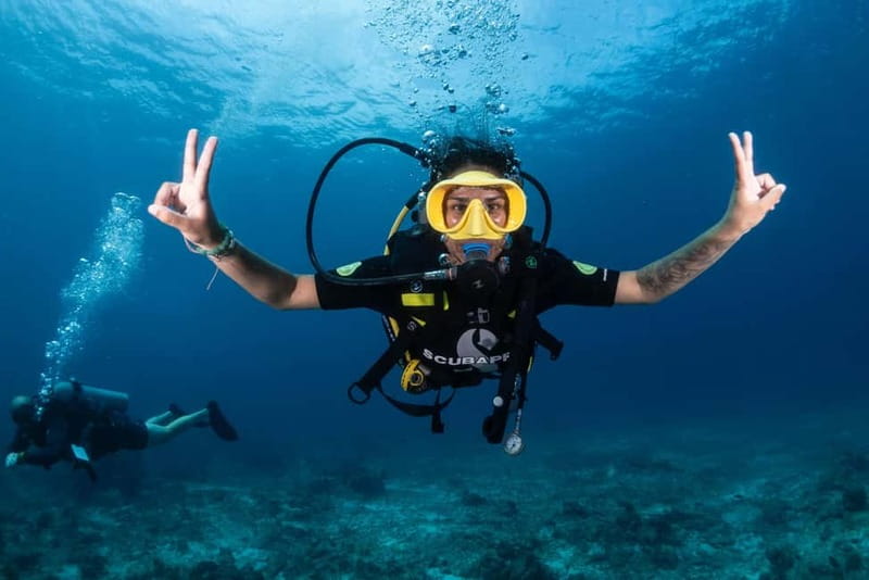 Mellieha: Introductory Diving Session in the Open Sea - Key takeaways