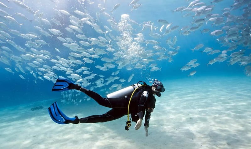 Mellieha: Introductory Diving Session in the Open Sea - Marfa Bay in Mellieħa, an easy start to Malta’s underwater world