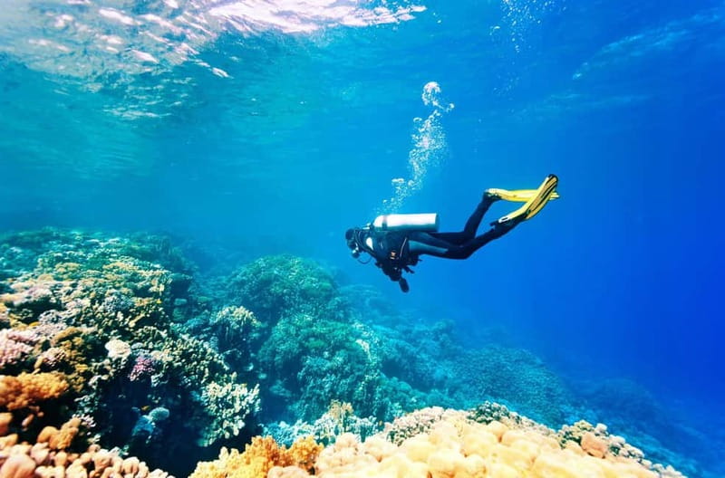 Mellieha: Introductory Diving Session in the Open Sea - What’s included in the $146 price, and where the value comes from
