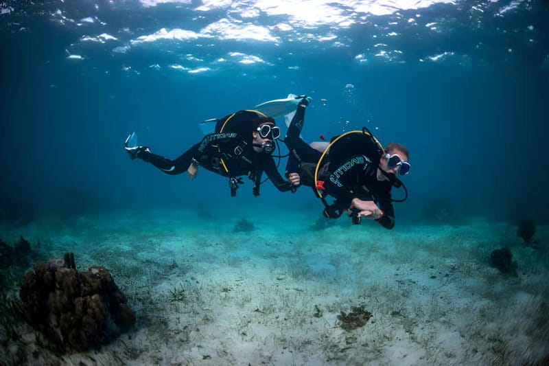 Mellieha: Introductory Diving Session in the Open Sea - Practical tips to make your first Malta open-sea scuba session smoother