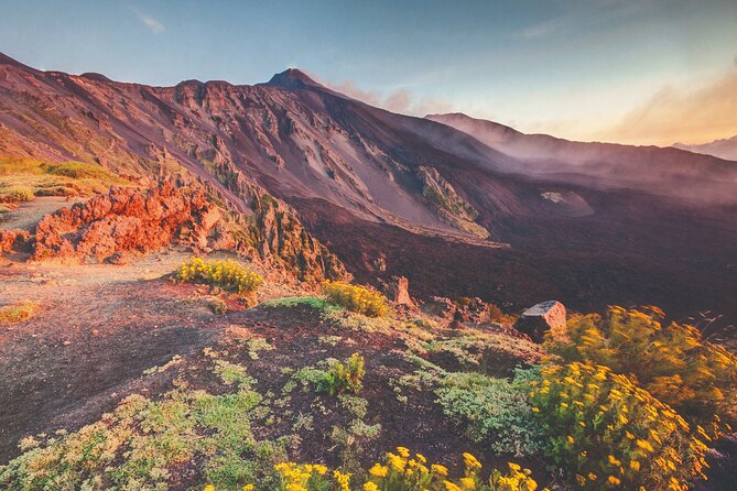 Mount Etna and Catania full day excursion from Malta to Sicily - Mount Etna close up: crater views, lift rides, and the cost of going higher