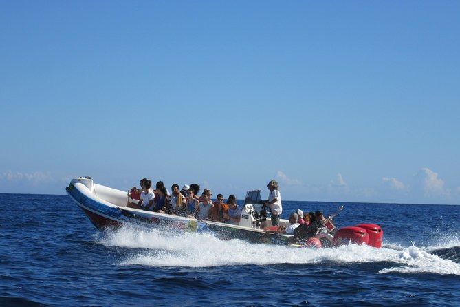 Okikoki Banis - Comino Blue Lagoon Speedboat Trip- Fast Ferry - Key Things You Should Know Before You Go