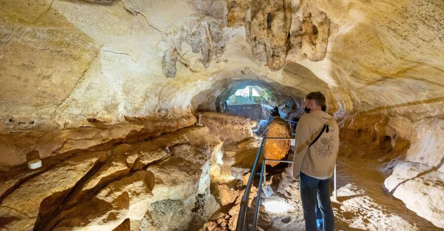 Prehistoric Temples of Malta Tour - Key highlights you should care about