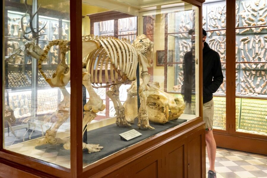 Prehistoric Temples of Malta Tour - Who this tour suits best