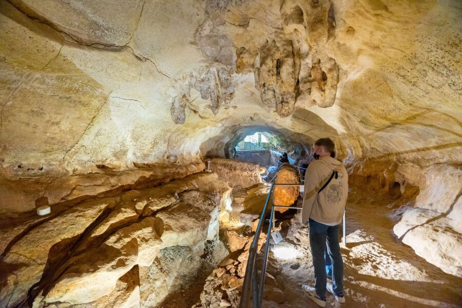 Prehistoric Temples of Malta Tour - Back to 3150 BC: why these Maltese temples still hit hard