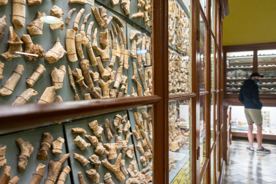 Prehistoric Temples of Malta Tour - Pickup logistics that can make or break your morning