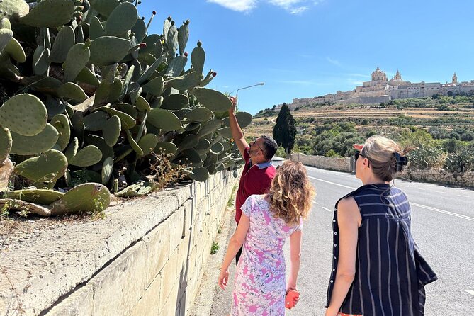 Private Tour Around Malta - Haġar Qim and Mnajdra, Megalithic Temples You Can See Without a Museum Marathon