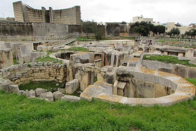 Private Tour in Malta Prehistoric Temples & Mdina - The private guide factor, especially with Ray