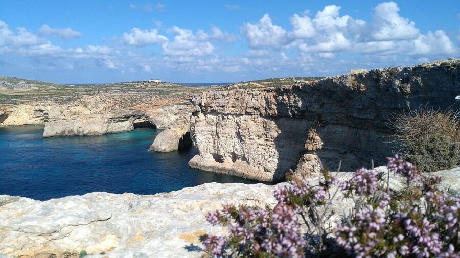 Shore Excursion Tour - Half Day - Malta National Aquarium Area: A Real Option for Families and Weather Days