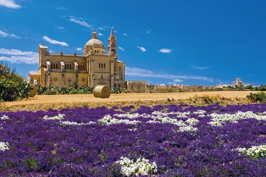 Sliema or St. Paul's Bay: Best of Gozo and Comino Day Trip - The Blue Lagoon Experience: Swim Window Reality Check