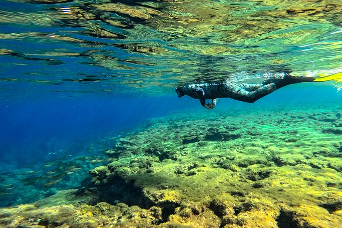 Snorkel Tour in Malta & Gozo in Winter by local guide with photos - Reef Snorkeling From Popeye Village, Mellieħa