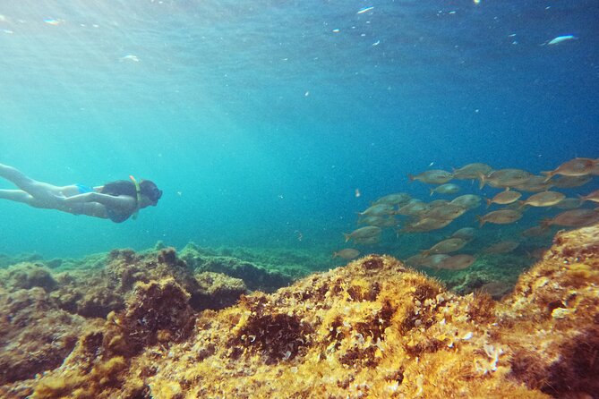 Snorkel Tour in Malta & Gozo in Winter by local guide with photos - Meet, Paperwork, and Get Equipped Fast