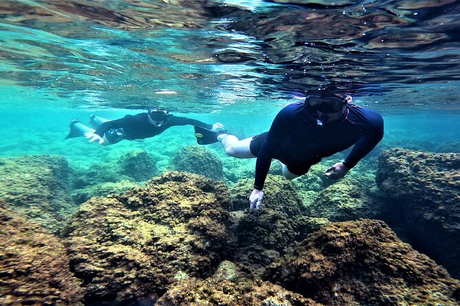Snorkel Tour in Malta & Gozo in Winter by local guide with photos - A Simple Two-Hour Plan That Keeps You Focused