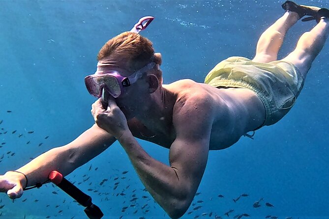 Snorkel Tour in Malta & Gozo in Winter by local guide with photos - Wildlife You Might See, Plus How to Not Miss It