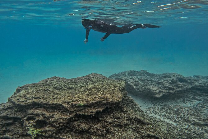 Snorkel Tour in Malta & Gozo in Winter by local guide with photos - Price and Value: What $42.05 Really Buys