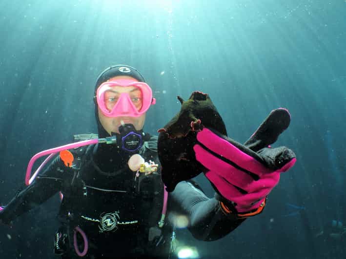 SSI Try Scuba Diving in the sea - First steps at Octopus Garden in St. Paul’s Bay