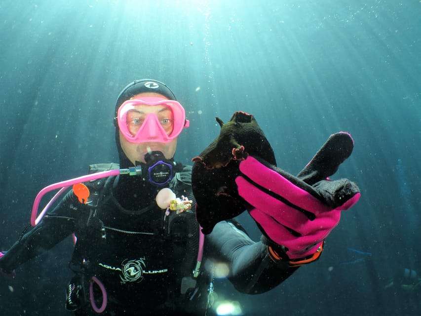 SSI Try Scuba Diving in the sea - Who should book this, and who should skip it