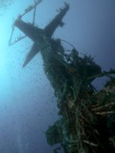 St Julians: Discover Scuba Diving Experience - Key things to know before you go