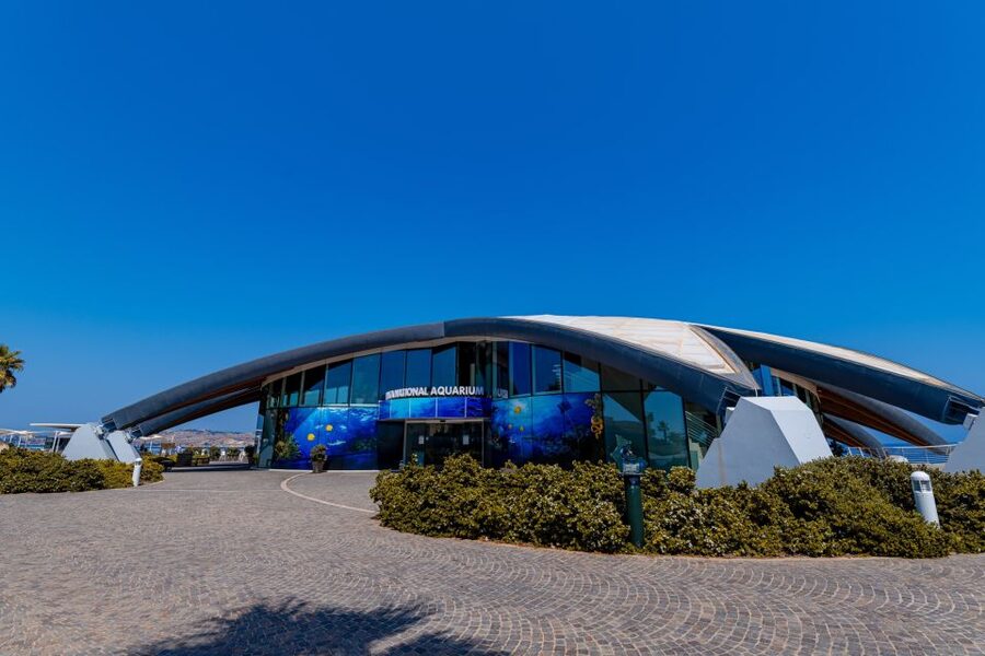 St Paul's Bay: Malta National Aquarium Entry Ticket - Inside the starfish-shaped shell: the vibe and layout