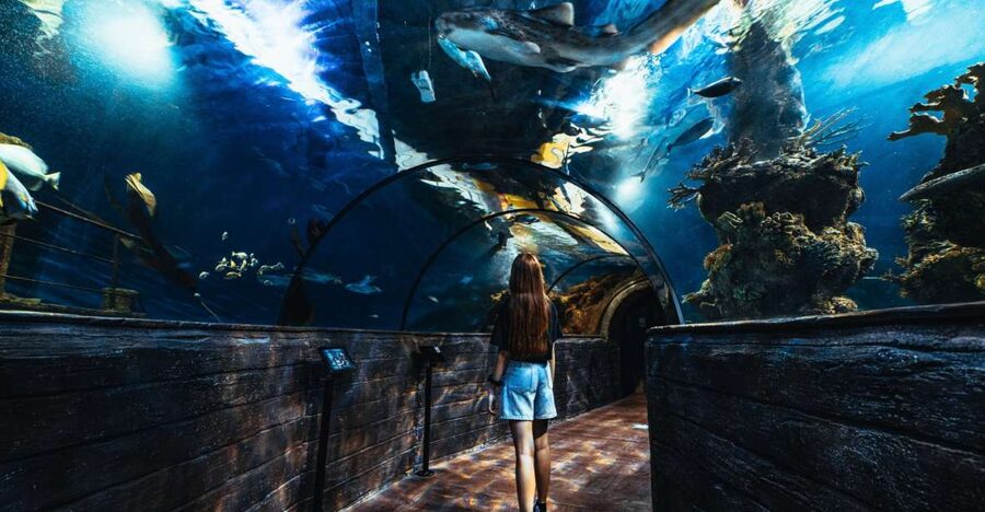 St Paul's Bay: Malta National Aquarium Entry Ticket - The walk-through tunnel: your best photo moment and your best wow factor