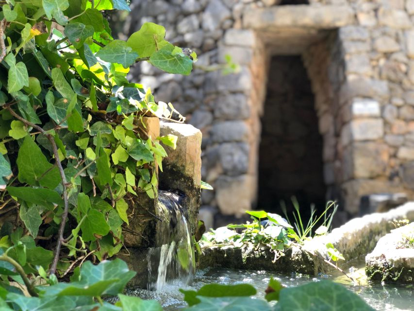 The Limestone Heritage Park and Gardens (Entry Ticket) - Museum hall, geology section, and the Punic tomb (400 BC)