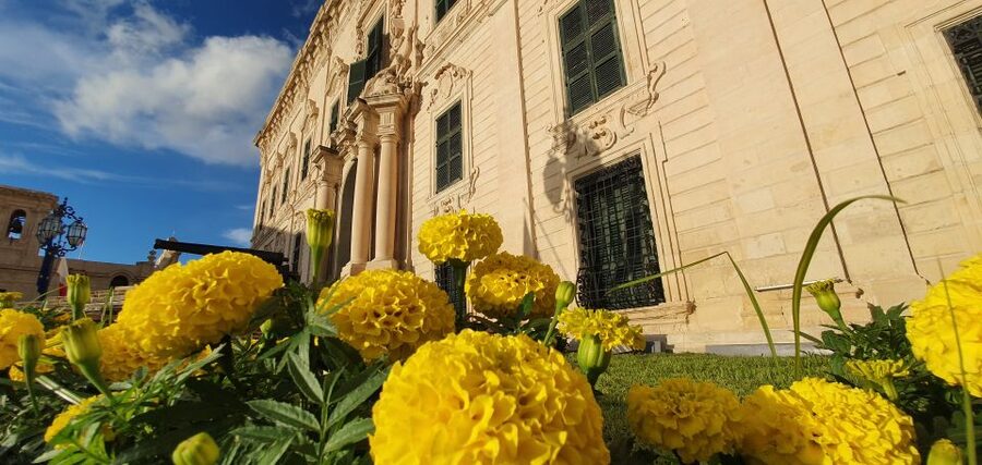 Valletta: Food Walking Tour with Tastings - Merchants Street for the Long, Taste-First Portion