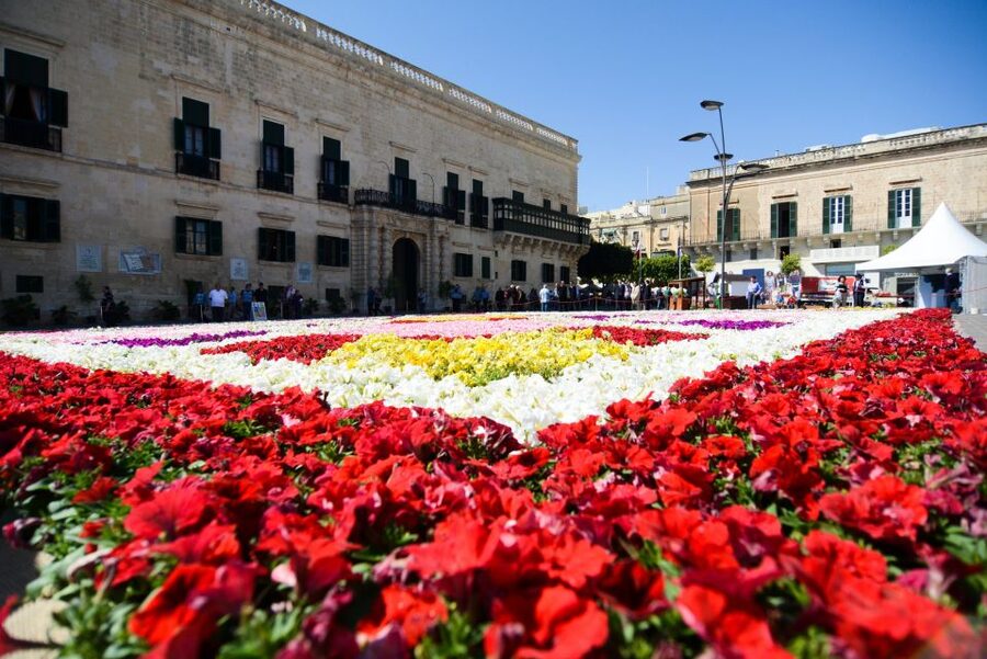 Valletta: Street Food and Culture Walking Tour - Meeting at the New Parliament Building, Then Hitting the Old Center