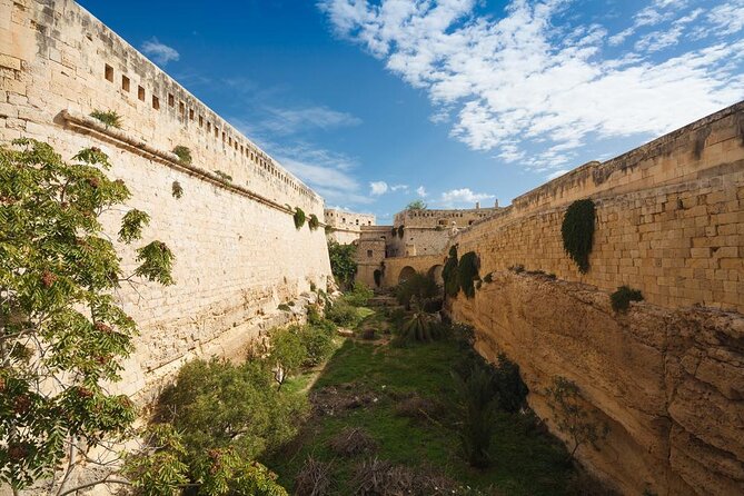 Valletta World War II Private Walking Tour - Key highlights you should care about
