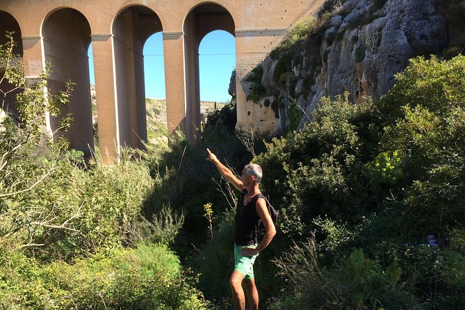 Victoria Lines Tour - Birdsong, plants, and views you earn on foot