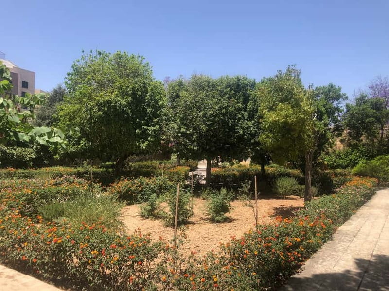 Visit Tarxien Temples, Kalanka Bay, Blue Grotto, Marsaxlokk - Key Highlights You Will Actually Care About